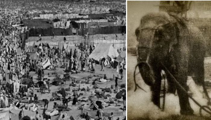 जब आजाद भारत के पहले कुंभ में हुआ हाथी का हंगामा, 500 लोगों की हुई थी मौत